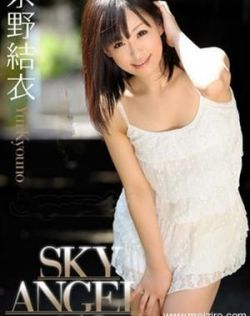 日本艺妓表演